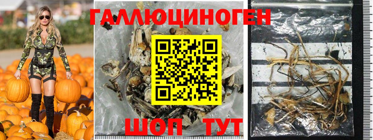 Ивантеевка  Галлюциногенные грибы Magic Shrooms  купить   Вход с VPN 